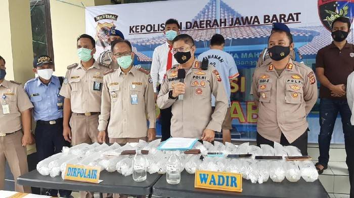 Polisi Ringkus Penyelundup Puluhan Ribu Benih Lobster
