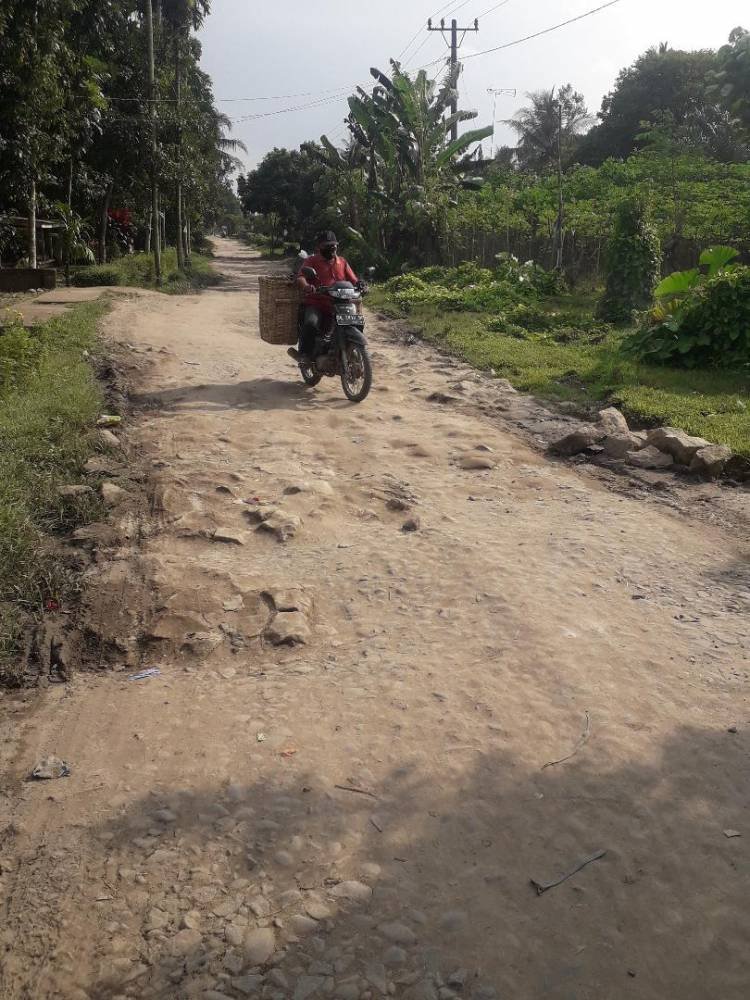 Jalan Besar Aman Sari Serbelawan Dolok Batunanggar Butuh Perbaikan