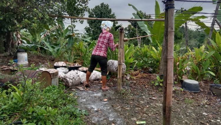 Masyarakat  Nias Minta  Pemerintah Perjuangkan Harga Karet