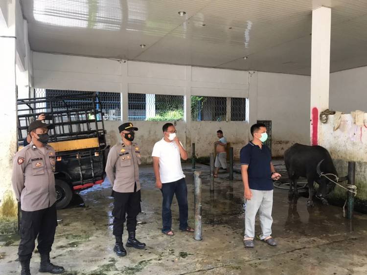 Antisipasi Penyebaran PMK, RPH di Sibolga Disemprot Disinfektan