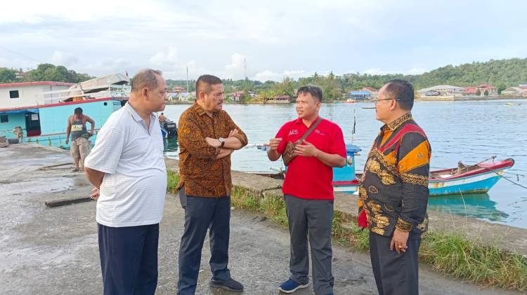 Rencana Bantuan Kapal, Tim Kemenko Marves Turun le Nisel
