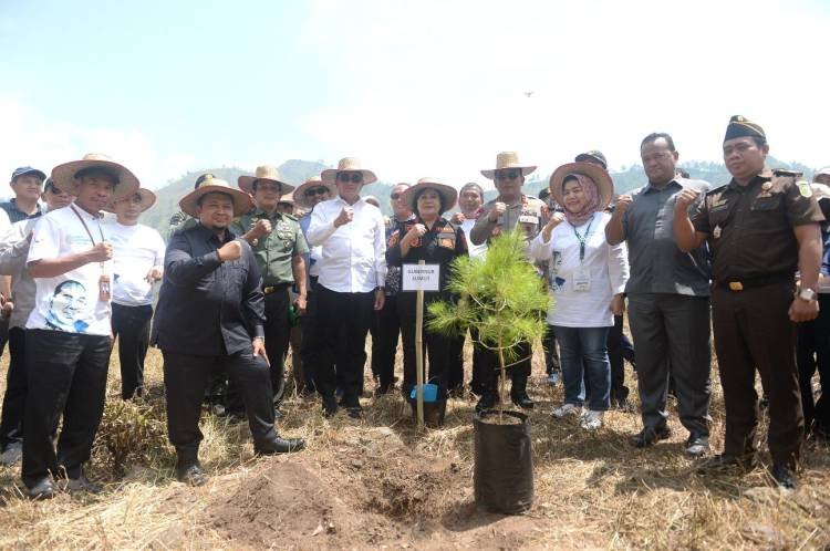 Edy Rahmayadi Tanam Pohon Hingga Tuang Eco-Enzyem 3 Ton ke Danau Toba