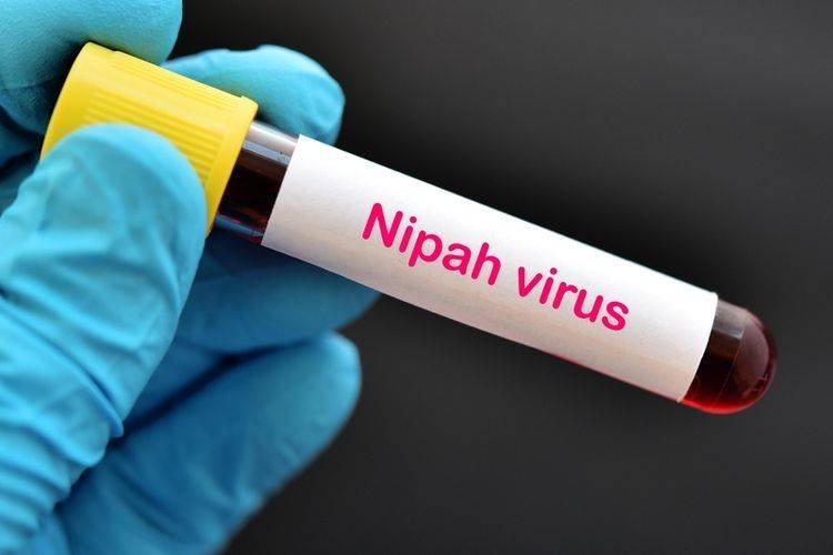 Pemprov Sumut Diminta Memitigasi Virus Nipah Agar Tidak Menyebar ke Sumut