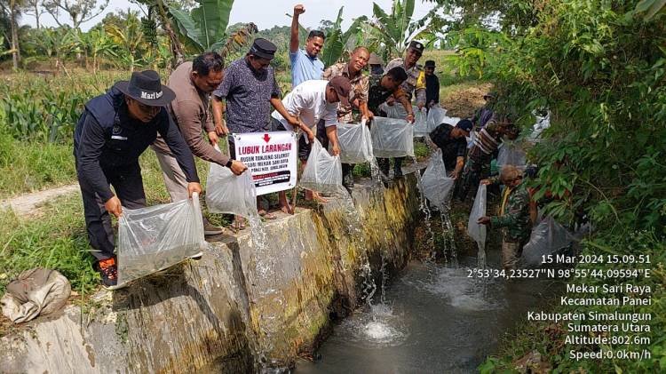 Dinas Ketapang Simalungun Tabur 20 Ribu Benih Ikan di Irigasi Tanjungselamat