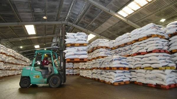 Alokasi Pupuk Subsidi Naik Jadi 9,5 Juta Ton, Anggarannya Rp 53 T