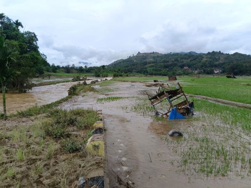 Sungai Lau Tir di Desa Gunung Meluap, Puluhan Hektare Lahan Pertanian Warga Rusak