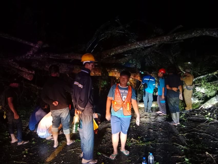 Pohon Tumbang, Arus Lalin Jalinsum Parapat Macet Total