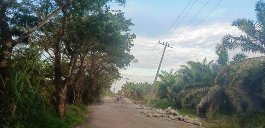 Miring dan Nyaris Roboh, Warga Harap PLN Perbaiki Tiang Listrik di Dusun 11 Cempedaklobang Sergai