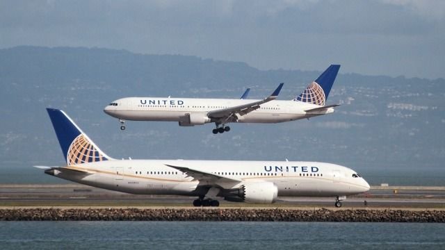 Tabrak Anjing Koyote, Pesawat United Airlines Terpaksa Putar Balik