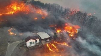Terduga Pelaku Kebakaran Hutan Korsel Ditangkap, Dipicu Ritual Leluhur