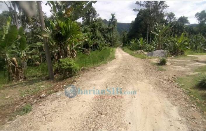 Pirman Hutasoit: Pemanfaatan Hasil Hutan di Sikirang Desa Sihastoruan Sudah Melalui Prosedur