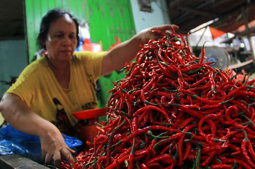 Harga Cabai Merah di Medan Terus Naik