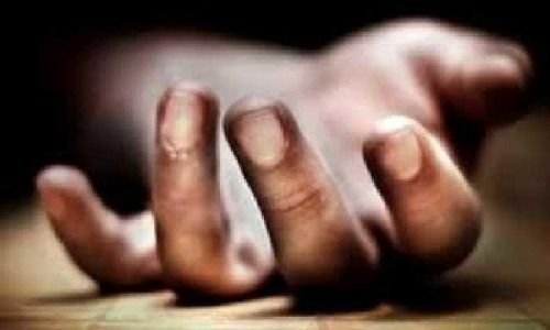 Warga Labusel Meninggal Kesetrum saat Panen Kelapa Sawit