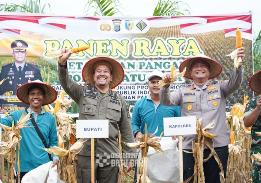 Dukung Ketahanan Pangan, Bupati dan Kapolres Batubara Panen Raya Jagung