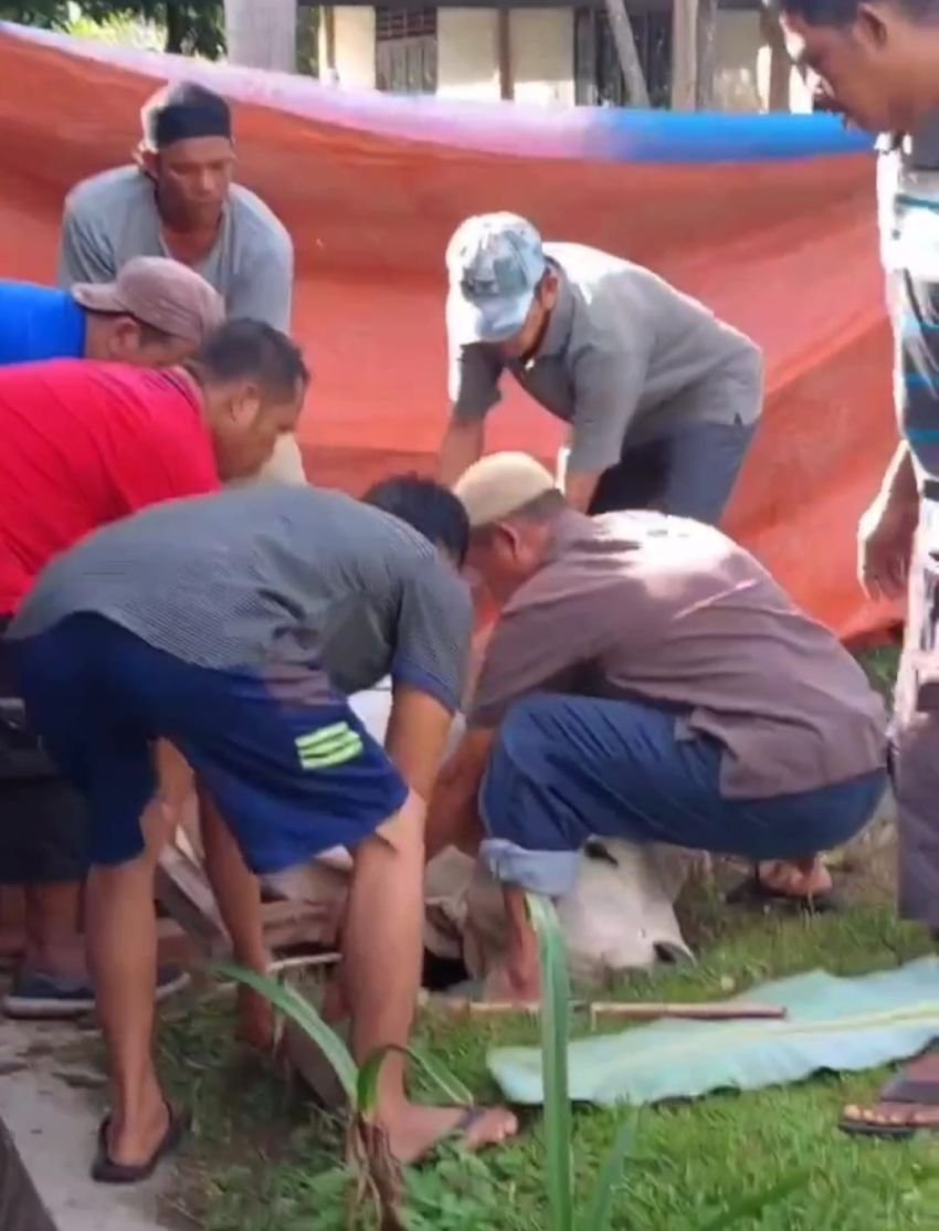 RSU Haji Medan Sembelih Hewan Qurban di Idul Adha 1446 H