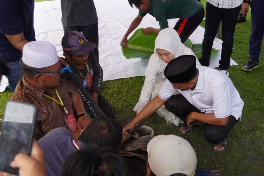 Wali Kota Tanjungbalai Serahkan Hewan Kurban di Lapas Pulo Simardan TBA
