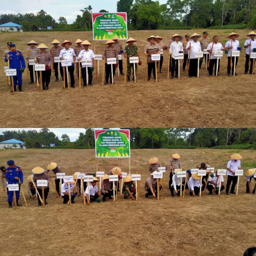 Dukung Ketapang, Polres Sergai Tanam Jagung Serentak Kuartal 3