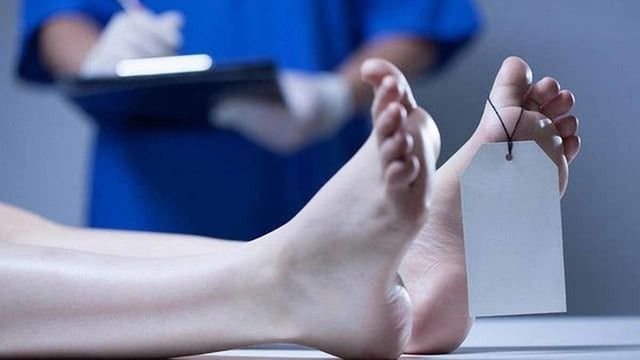 Pegawai BPS Halmahera Timur Dibunuh, Pelaku Pesta Nikah dengan Rekan Korban