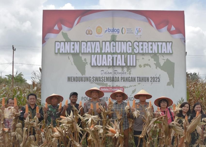 Pemkab dan Polres Humbahas Gelar Panen Raya Jagung Serentak
