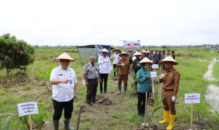 Dukung Ketahanan Pangan Nasional, Imigrasi Sumut Tanam 2.000 Bibit Kelapa