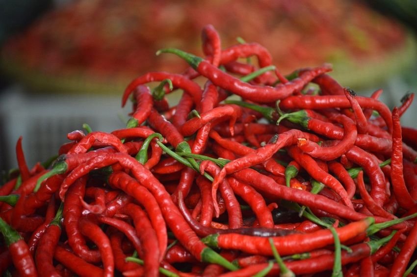 Dalam 9 Bulan, Sumut Produksi Cabai Merah 183.847 Ton